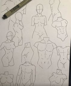 the drawing shows how to draw female torsos in different positions and sizes, with a marker