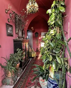 a hallway with potted plants and pictures on the wall