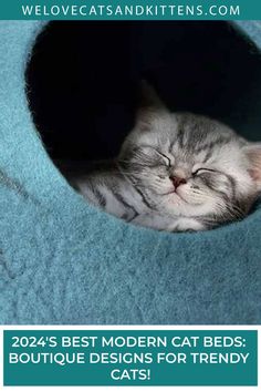 a cat sleeping in a blue bed with the caption, 20 %'s modern cat beds boutique designs for trendy cats