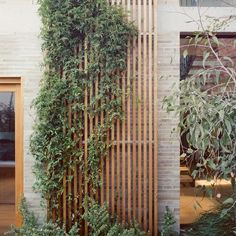 an outdoor living area with wooden slats and plants growing up the side of it