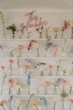 flowers are arranged in vases on the wall