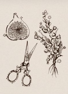 an ink drawing of flowers and scissors on a piece of paper