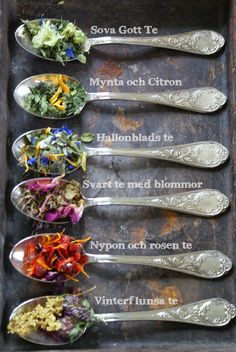 six spoons with different types of food on them, all labeled in the same language