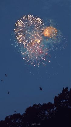 fireworks are lit up in the night sky above some trees and birds flying around them