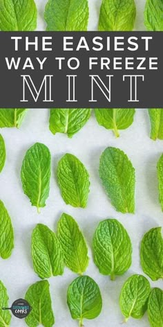 mint leaves with the words, the easyest way to freeze mint