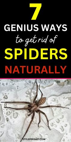 a spider with the words 7 genius ways to get rid of spiders naturally on it