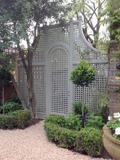 a garden area with various plants and trees