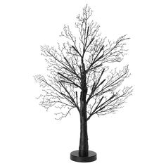 a black and white photo of a bare tree with no leaves on it, against a white background