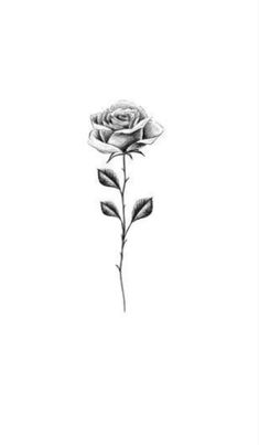 a black and white drawing of a rose