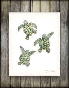 three green sea turtles on white paper with wood planks in the background and text below