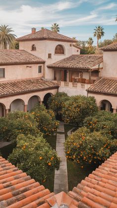 an orange tree is in the middle of a courtyard with many oranges on it