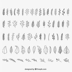 various hand drawn leaves and plants