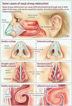 Basic Anatomy And Physiology, Biology Facts, Medical Student Study, Human Body Anatomy, Medical School Motivation, Medical Facts, Medical School Inspiration, Medical School Studying, Medical School Essentials