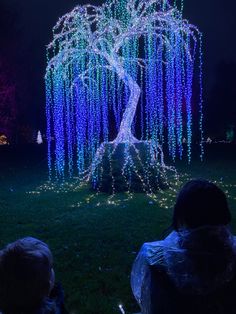 people are sitting in the grass looking at a tree with lights all over it and on its trunk