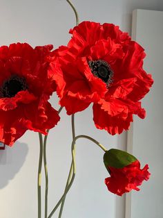 three red flowers in a vase on a table