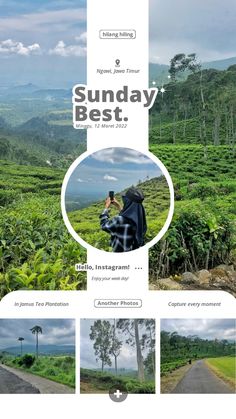 an image of a person taking pictures in the middle of a tea plantation with words on it