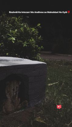 an animal is sitting in the middle of a brick structure with grass and bushes around it