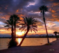 palm trees are silhouetted against the setting sun at an oceanfront park in florida