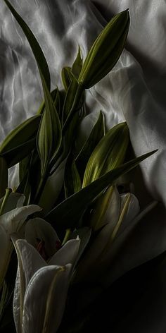 some white flowers laying on top of a bed