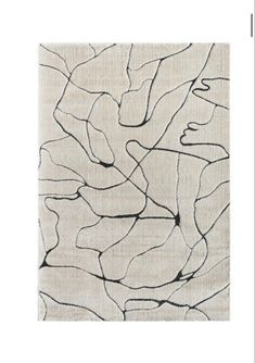 an abstract rug with black and white lines on the bottom, in front of a white background