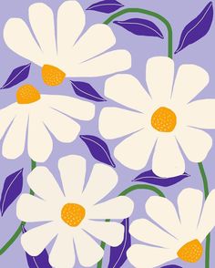 white daisies with purple leaves on a purple and blue background are featured in this illustration