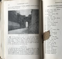 an open book with a leaf sticking out of it's middle page, and the text underneath