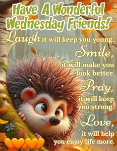 a hedgehog is peeking out from behind a tree with the words have a wonderful wednesday friends laugh it will keep you smiling