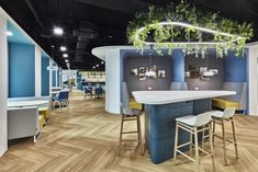 the interior of an office with blue walls and wooden floors, plants growing on the ceiling