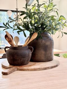 two clay pots with spoons and spatulas on a wooden table next to a potted plant