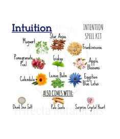 Herbs For Intuition, Make Incense, Intention Spell, Incense Blends, Herbal Witch, Spell Bottles, Natural Decongestant, Spiritual Altar, Moon Magick