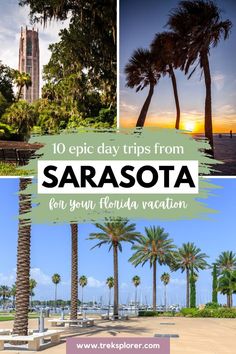 some palm trees and the words 10 epic day trips from sarasota for your florida vacation