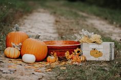 pumpkins and gourds sit on the ground next to a wooden box with flowers