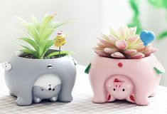 two elephant planters with succulents and plants in them on a table