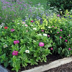 a garden filled with lots of different types of flowers