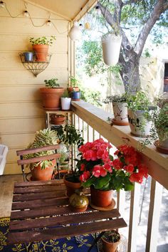 some potted plants are sitting on a porch