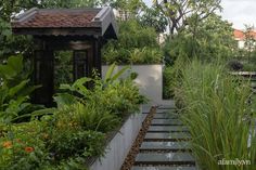 an outdoor garden with lots of plants and trees