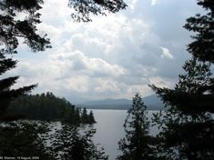 trees and water with clouds in the background