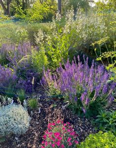 a garden filled with lots of different types of flowers