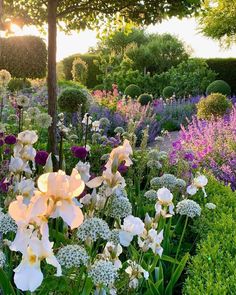 a garden filled with lots of white and purple flowers