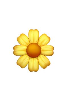 a yellow flower on a white background