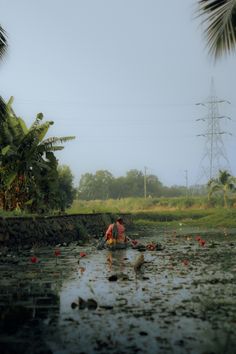 a man standing in the middle of a river surrounded by palm trees and other vegetation