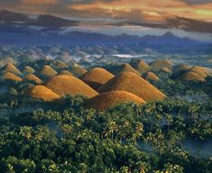 an aerial view of chocolate hills surrounded by palm trees