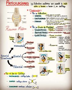 the diagram shows how to use an articulacione for medical care and hygiene