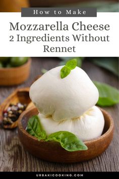 how to make mozzarella cheese 2 ingredients without rennet in the making process