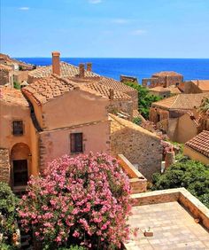 an aerial view of some buildings and the ocean in the backgrounnd with pink flowers