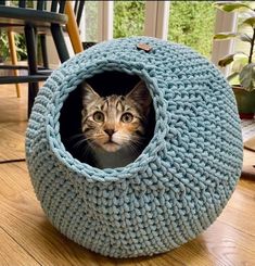 a cat in a blue crocheted bed looking out from inside the hole on the floor