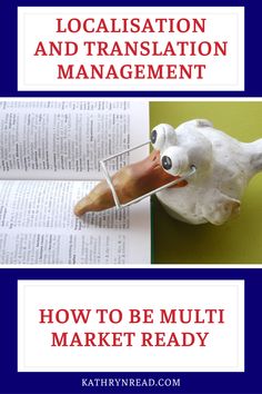 a book with the title localisation and translation management how to be multi market ready