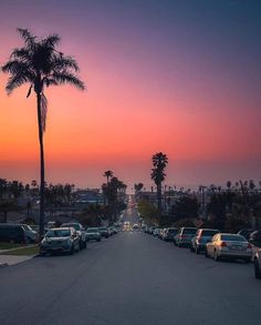 cars are parked on the street in front of palm trees as the sun is setting