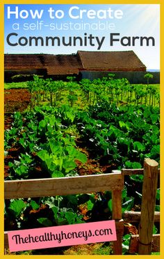 an image of a community farm with the title how to create a self - sustenable community farm