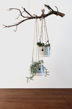 three hanging planters with plants in them